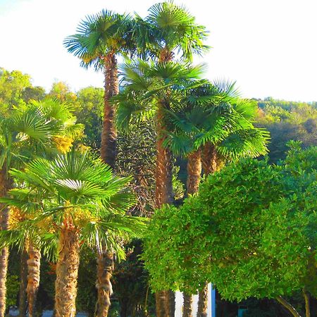 Villa Garni Gardenia Caslano Eksteriør billede